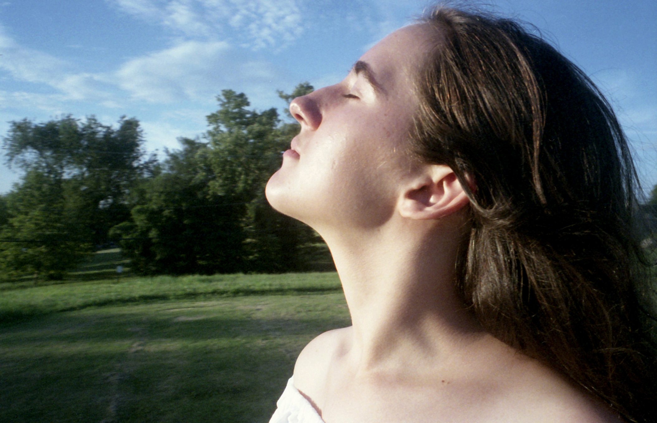 goldenafternoon_3web