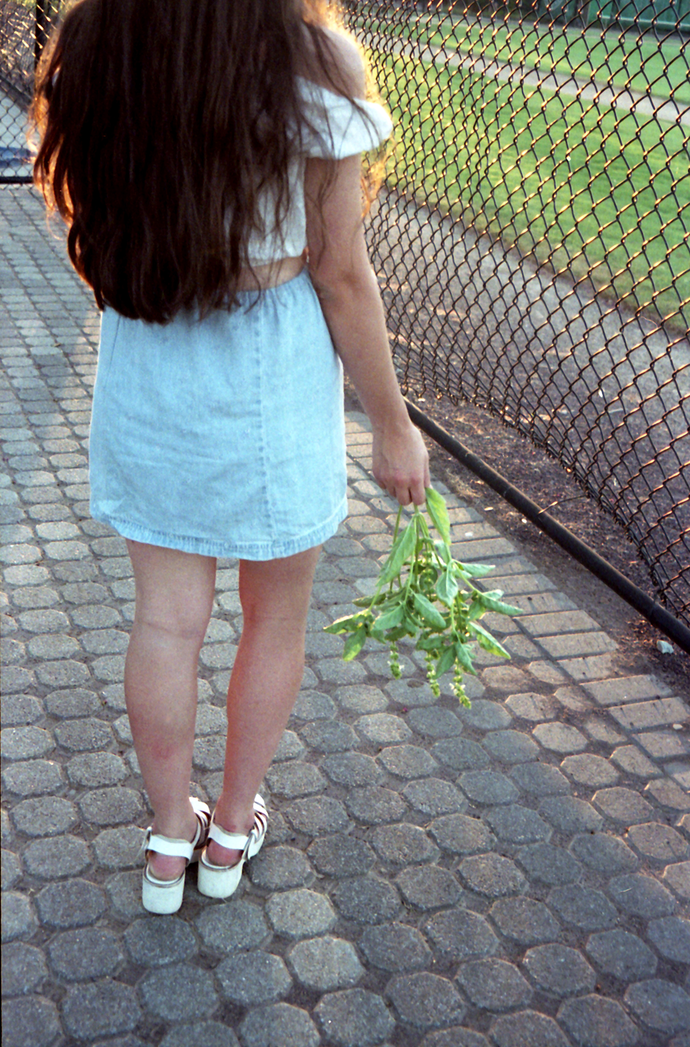 goldenafternoon_4web