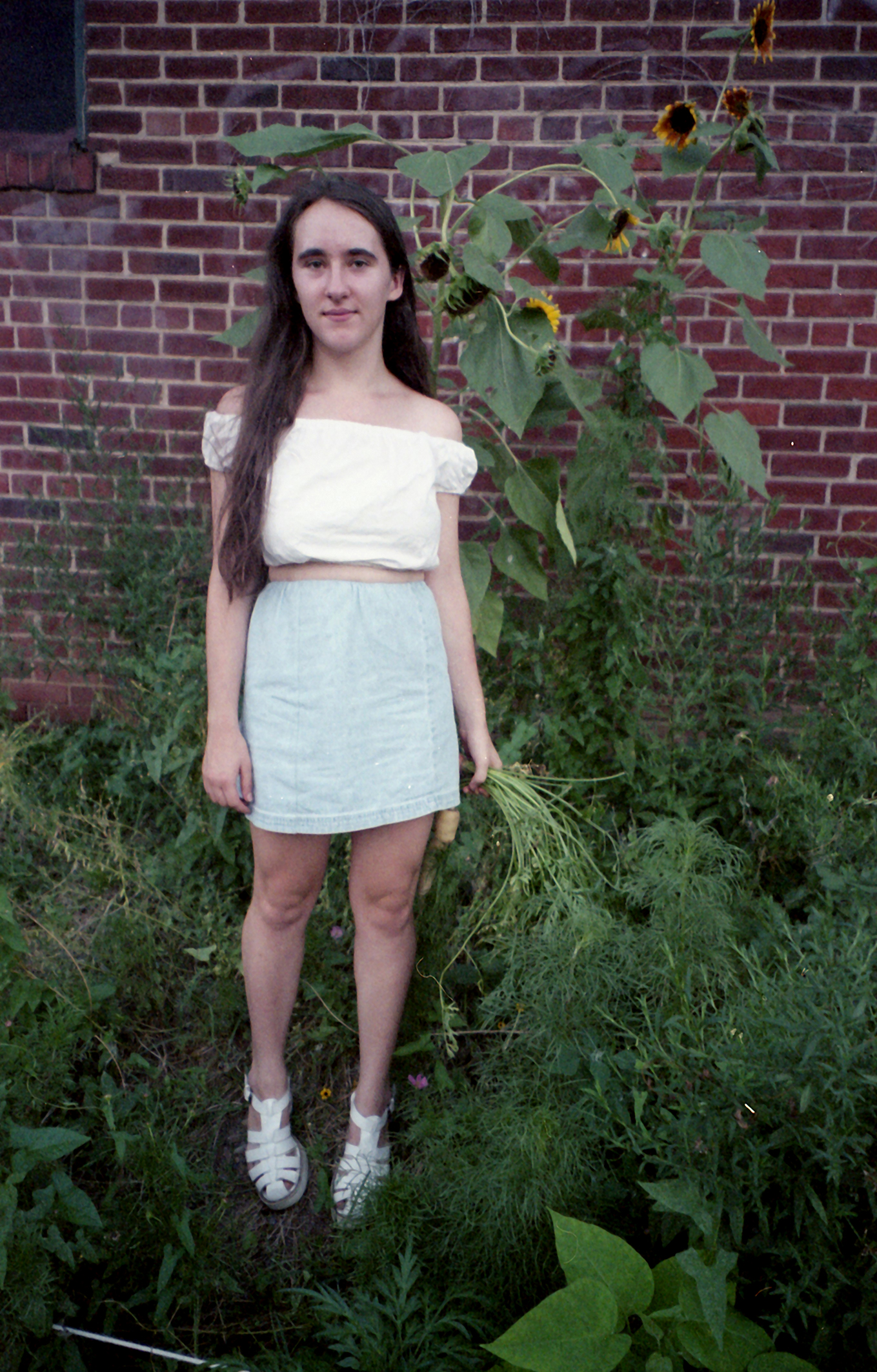 goldenafternoon_5web