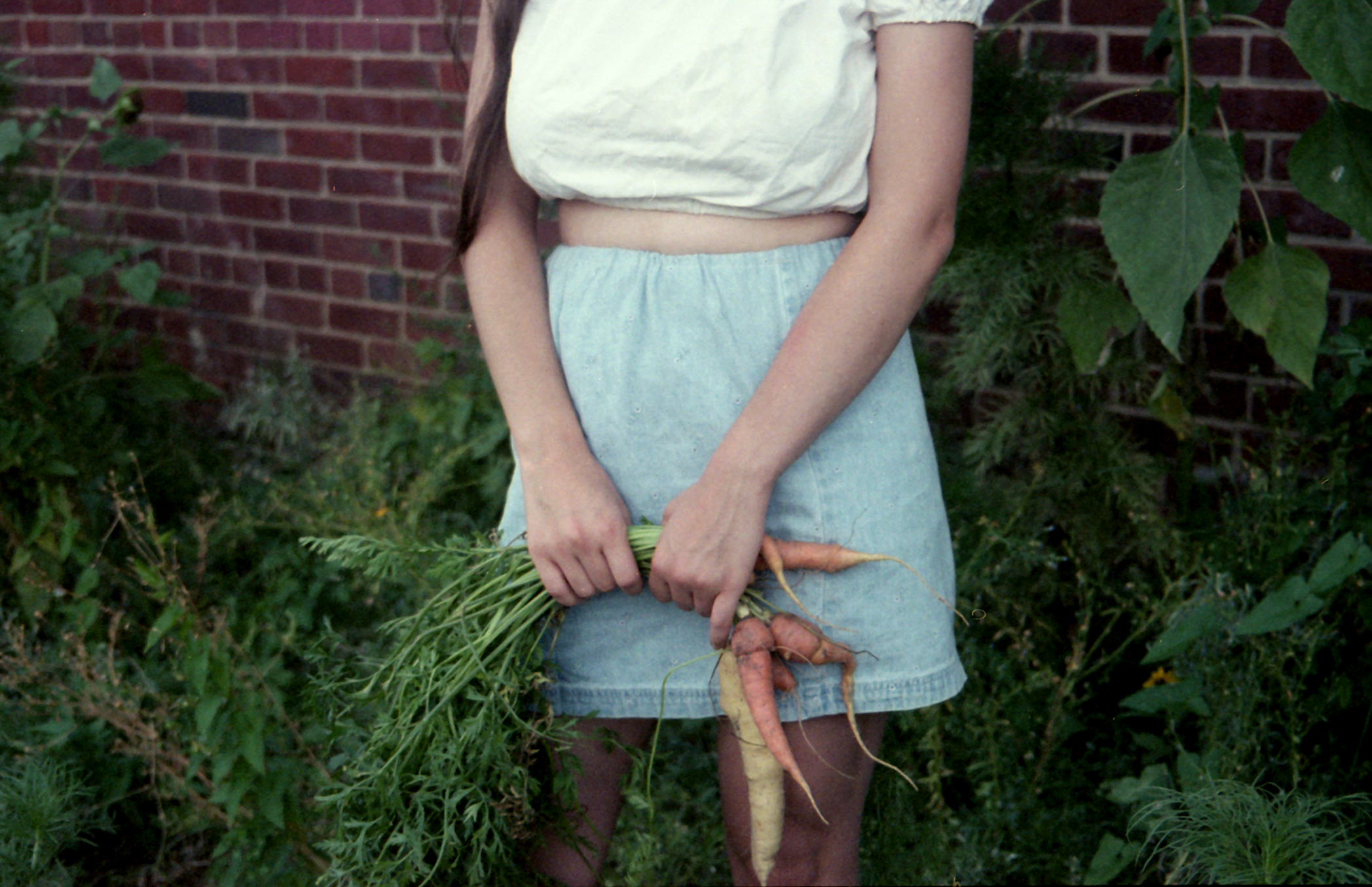 goldenafternoon_6web