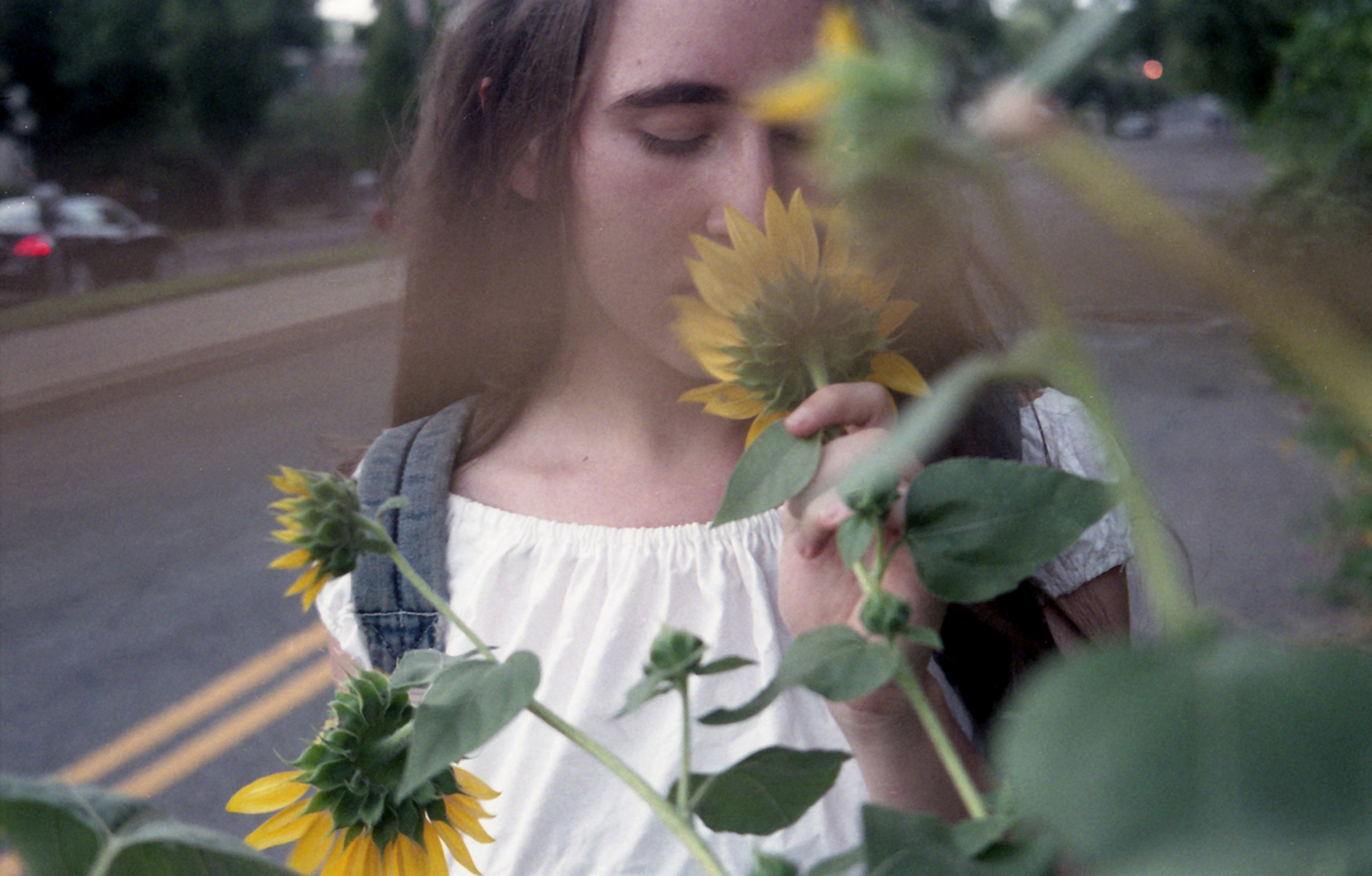 goldenafternoon_7web